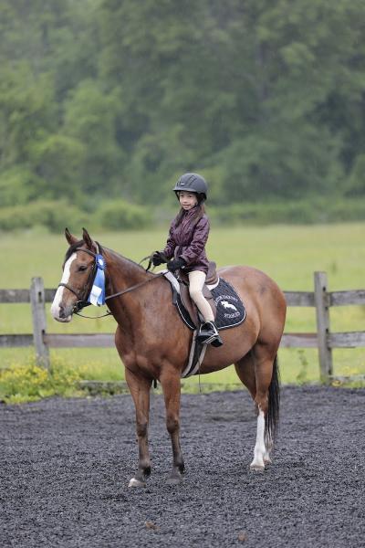 Seaton Hackney Stables -Equishare USA