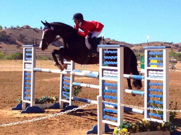 Gold Medal Equestrian