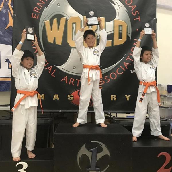 World Martial Arts Palo Alto