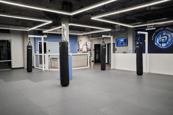 Krav Maga Unleashed
