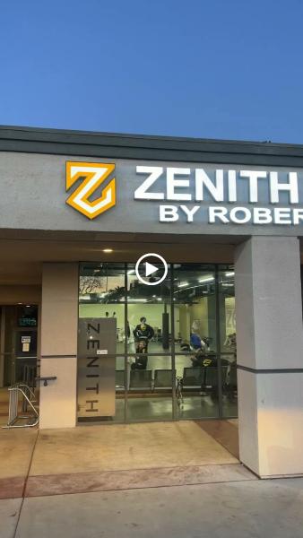 Zenith Jiu Jitsu by Robert Drysdale