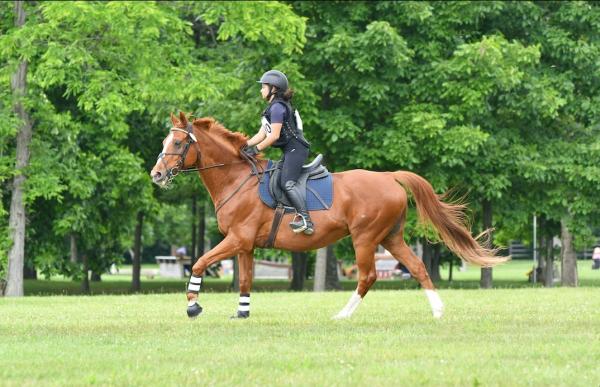 Leg Up Equestrian Team