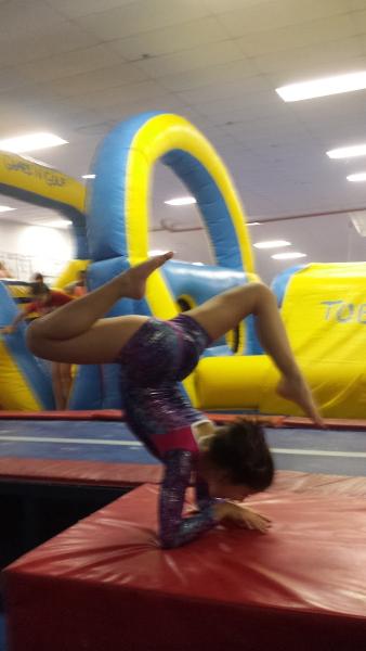 Metzler's Gymnastics