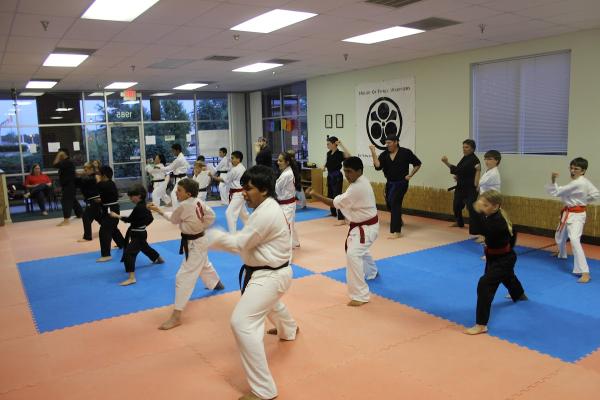 Ancient Arts Family Karate/Ju-Jitsu Academy