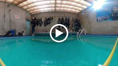 Blue Water Divers Swim School