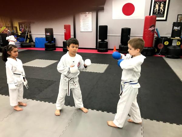 Kaigan Karate-do
