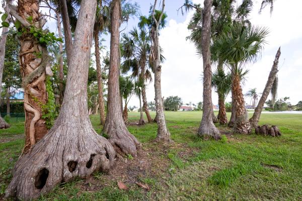 Hibiscus Golf Club