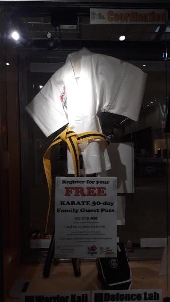 Super Kicks Karate