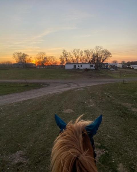 Woodloch Stable