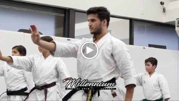 Millennium Martial Arts Academy