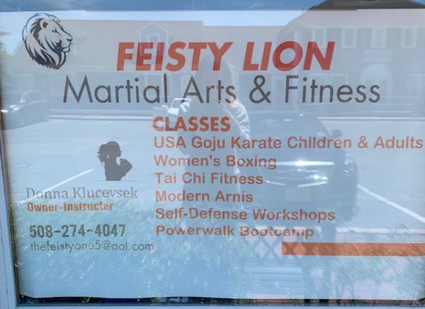 Feisty Lion Martial Arts & Fitness Studio