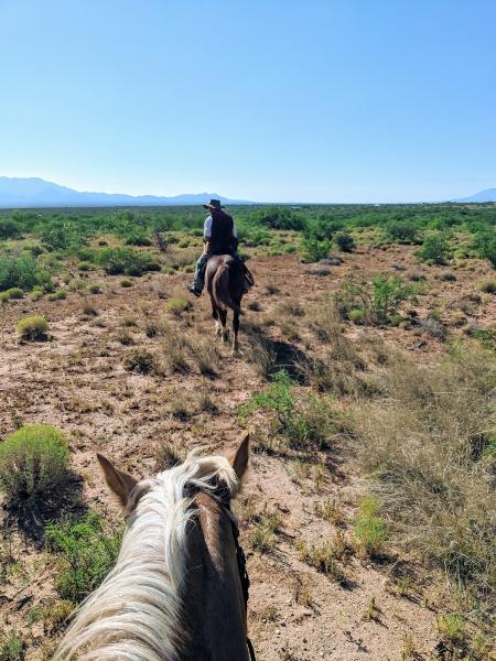 Katarina Highland Ranch