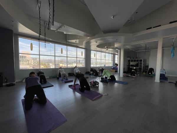 Violet Yoga Fitness