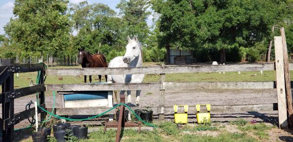 Reins and Reels Ranch