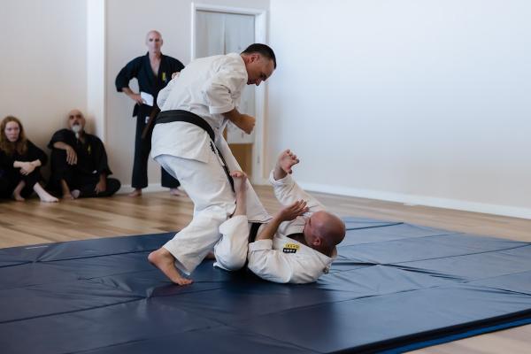 The Martial Arts Academy of Marin
