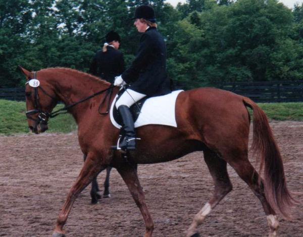 Mindful Dressage