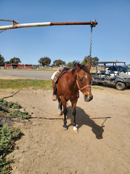 Blanco Brothers Ranch