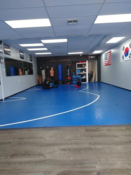 Premier Taekwondo