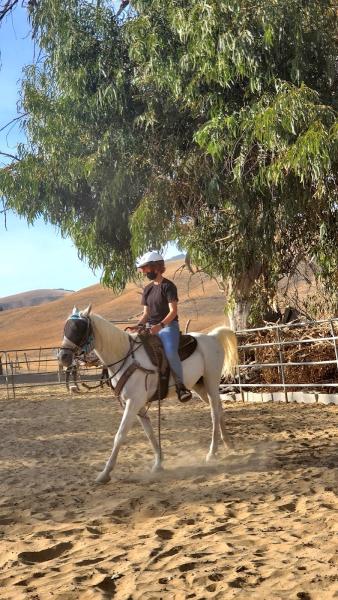 A Pereira Ranch