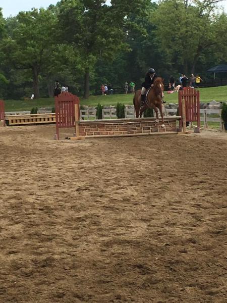 Mary-go-Round Equestrian Center