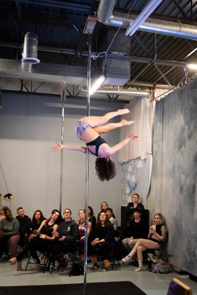 Aerial Dragonfly Movement Studio
