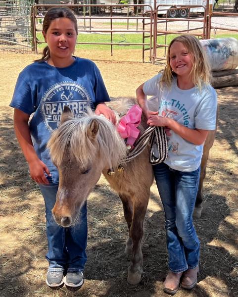 Ponderosa Pines Horse N Farm Camp