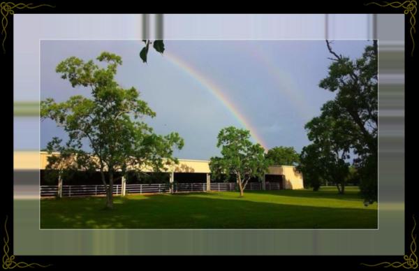 Dawson Equestrian Center