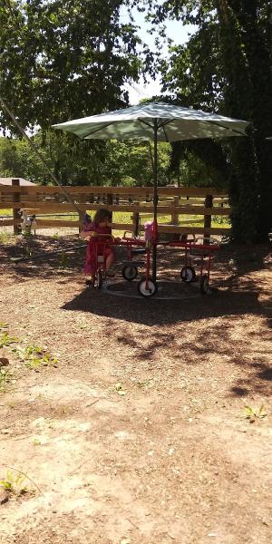 Fox Run Acres Boarding & Petting Zoo