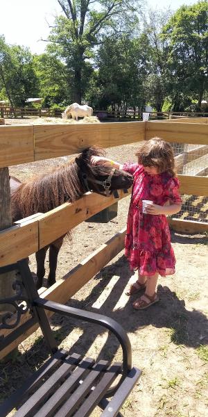 Fox Run Acres Boarding & Petting Zoo