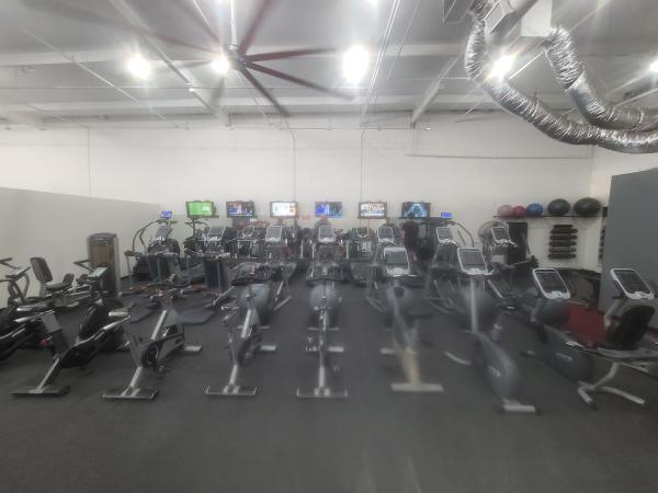 Life Performance Enhancement