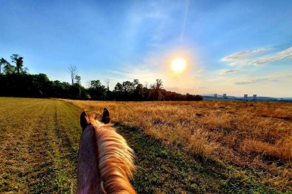 Infinite Horsemanship LLC