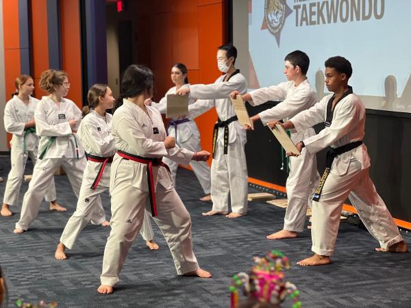 Tiger Hong's World Class Tae Kwon Do