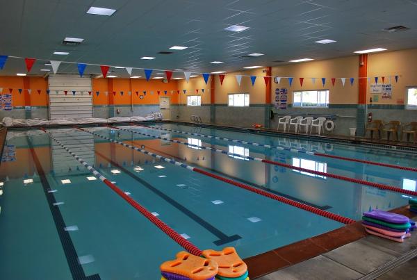 Flying Fish Swim School