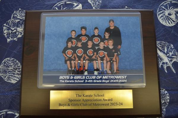 The Karate School