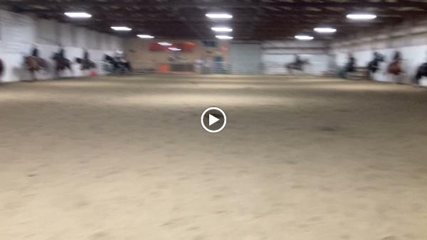 Cornerstone Horse Riding