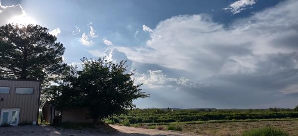 El Paso Trail Rides