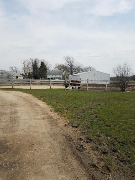 Diamond Acres