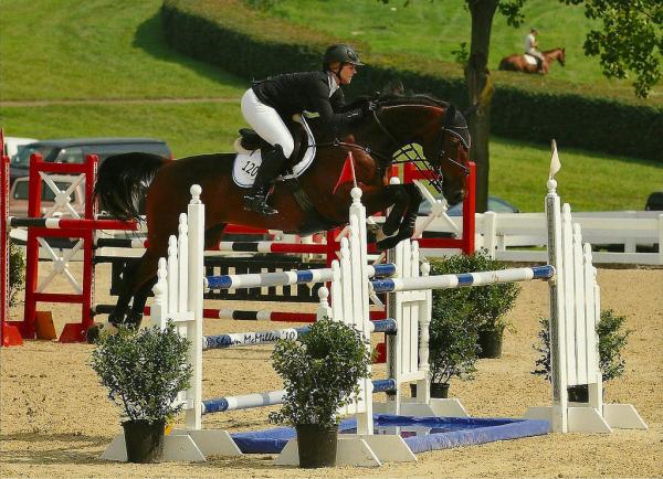 Christie Showjumpers