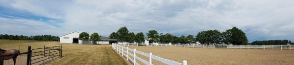 Horse Teaching and Research