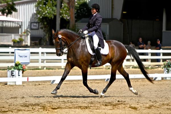 Amber Smigel Dressage