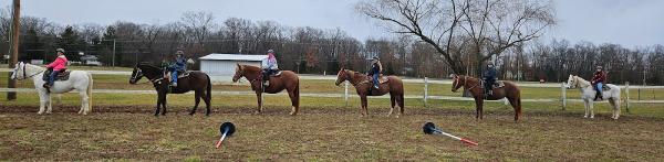 Circle D Horse Farm