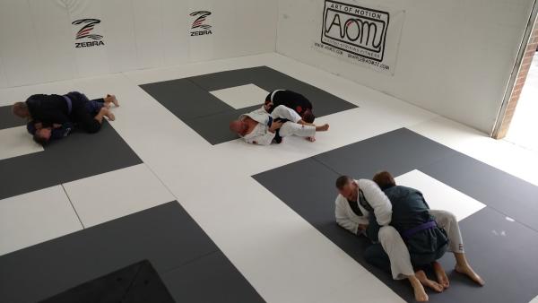 Art of Motion Jiu Jitsu