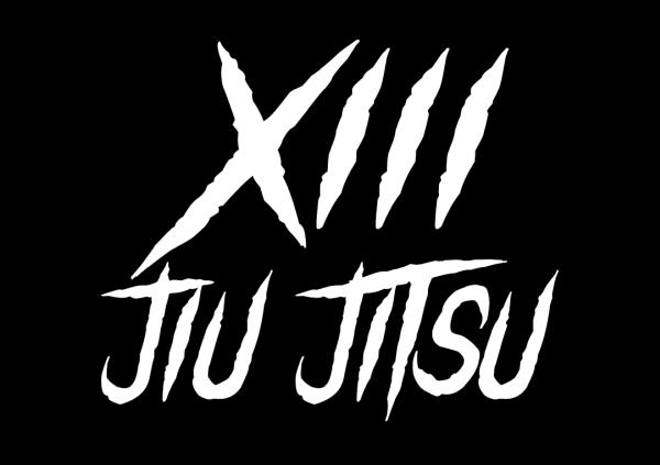 13 Jiu Jitsu