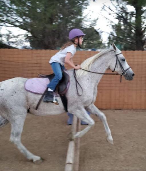 Rancho Escondido Therapeutic Riding