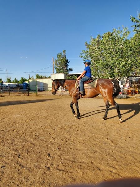 Rancho Escondido Therapeutic Riding