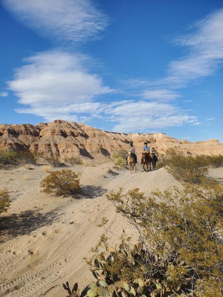 Rancho Escondido Therapeutic Riding