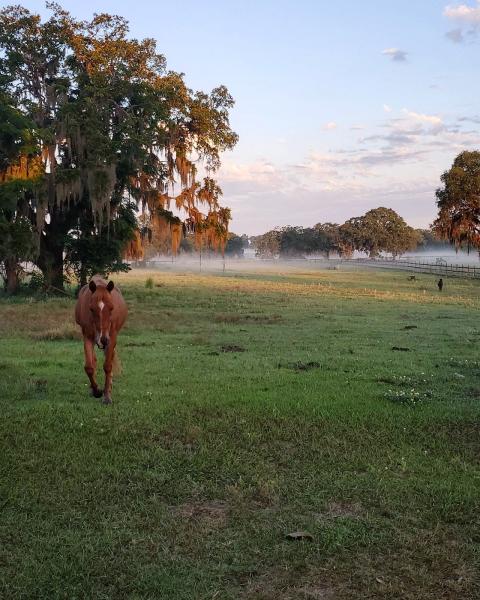 Freedom Ranch of Florida