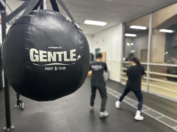 Gentle Fight Club