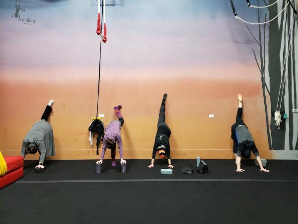Monkey Aerial Arts