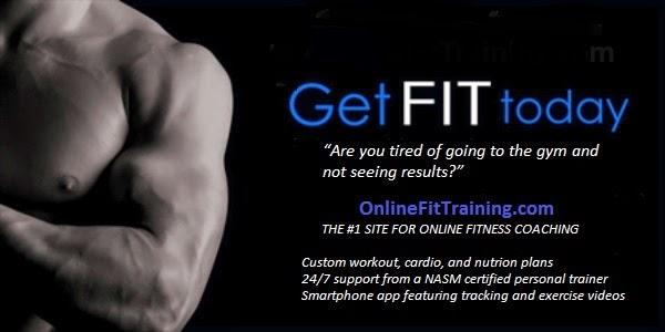Online Fit Training